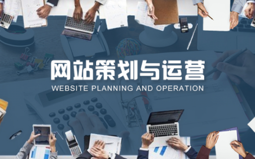 《网站策划与运营》