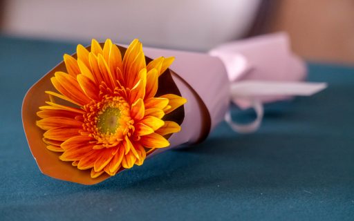 计算机应用技术+数字媒体艺术