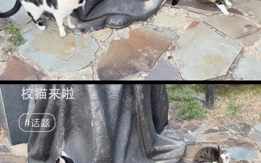 什么?你的微信状态也是这样吗?