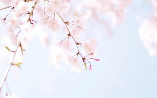 你期待的~不一样的“云“沙龙