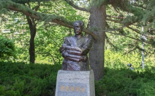 2016年应用本科招生信息