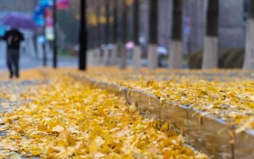 2017年应用本科招生信息