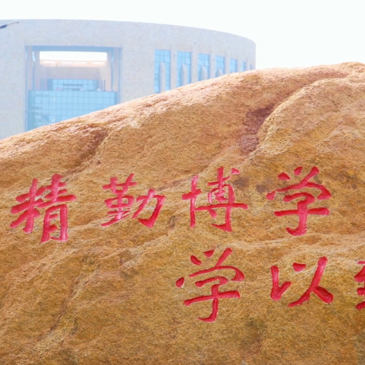 新生辅导员